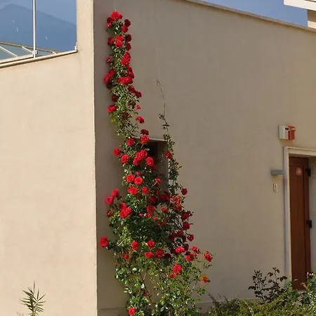 Дом отдыха Sun Village Byala *